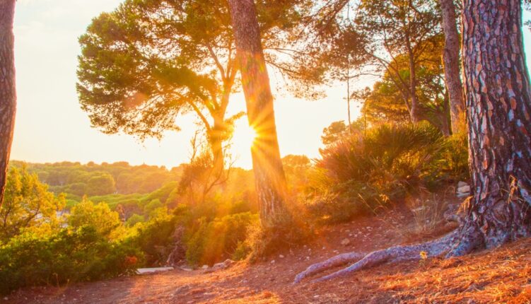Camí de Ronda Salou: a family walk on the Costa Dorada